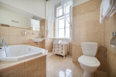 EA Chateau Hotel Hruba Skala**** - double wedding suite, bathroom